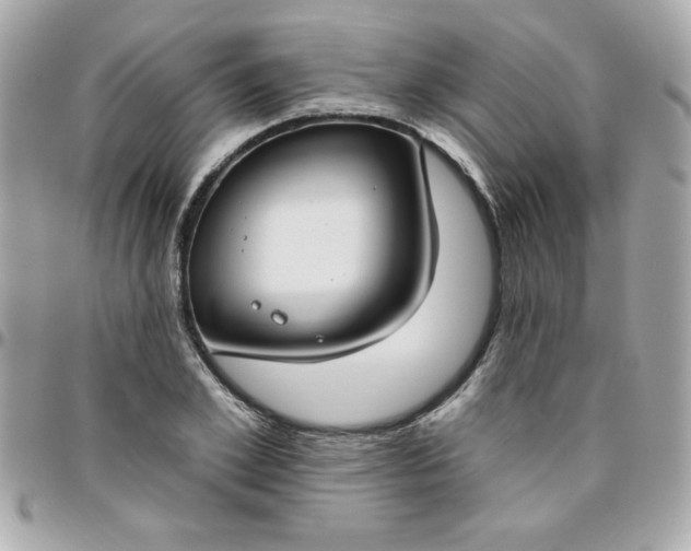 X0000096470981200802071853