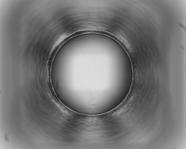 X0000096470982200802071853