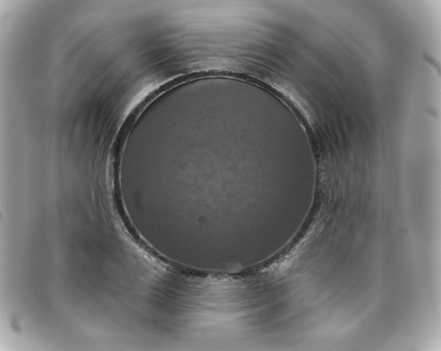 X0000096470983200802071853