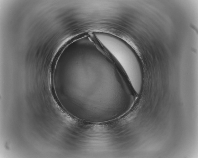 X0000096470984200802071853