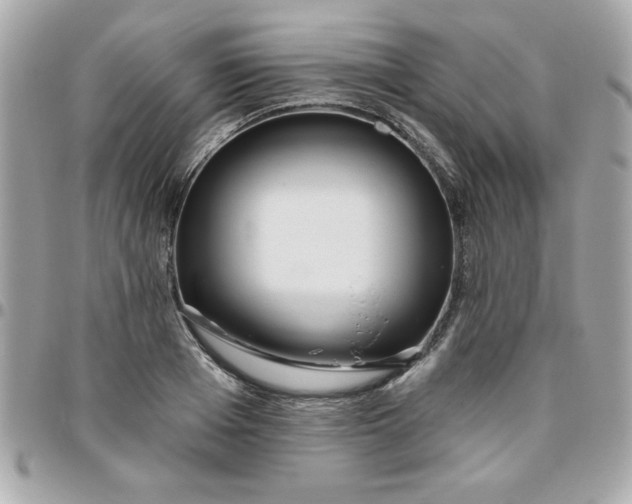 X0000096470985200802071853