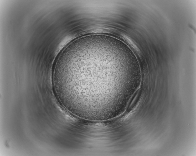 X0000096470986200802071853