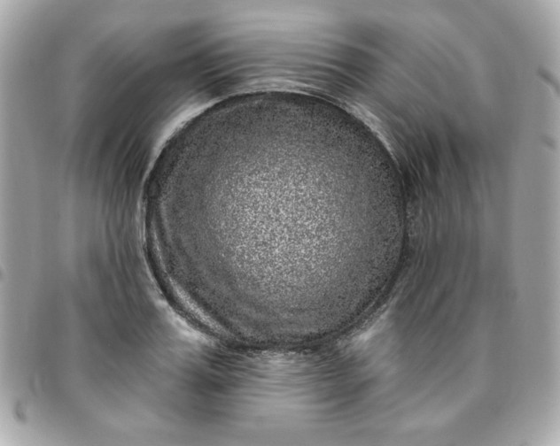 X0000096470987200802071853