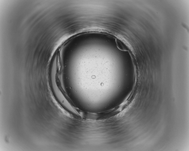 X0000096470989200802071853