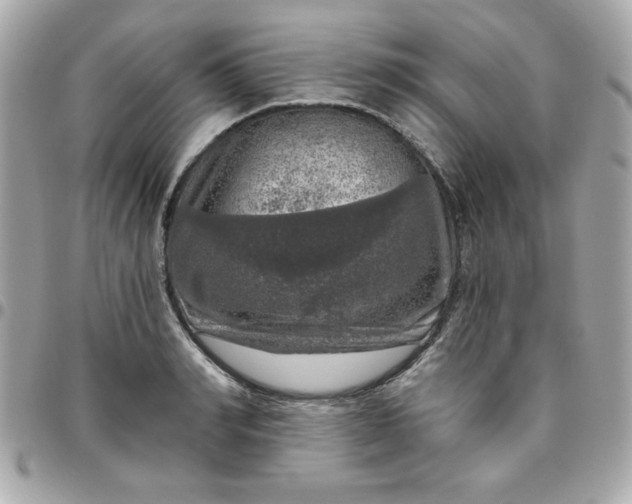 X0000096470990200802071853