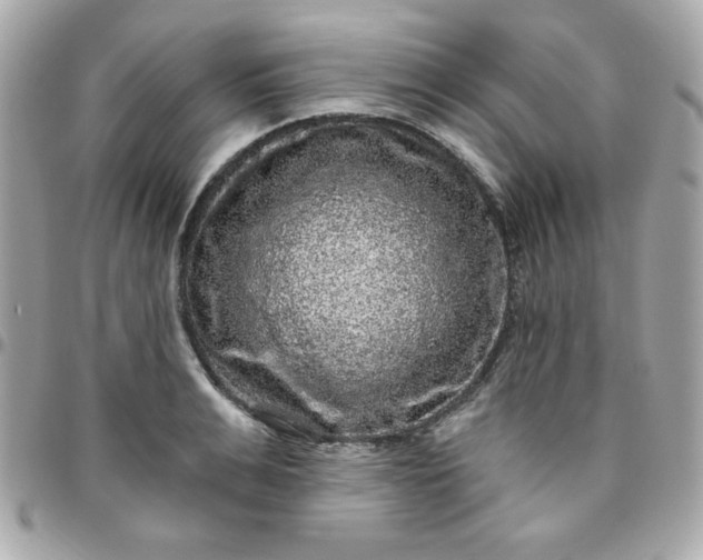 X0000096470991200802071853