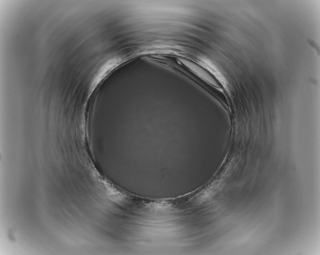 X0000096470994200802071852