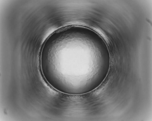 X0000096470999200802071852