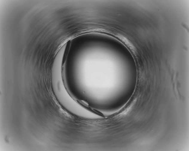 X0000096471001200802071852