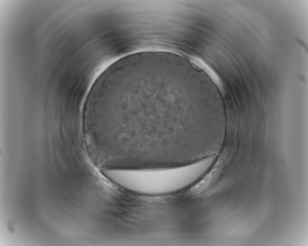 X0000096471004200802071852