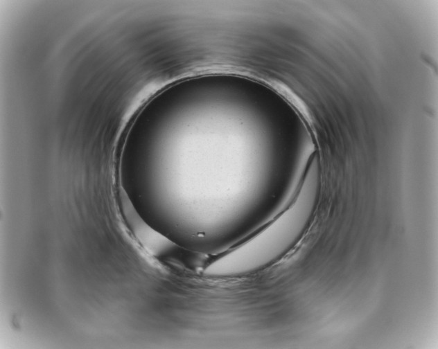 X0000096471005200802071852