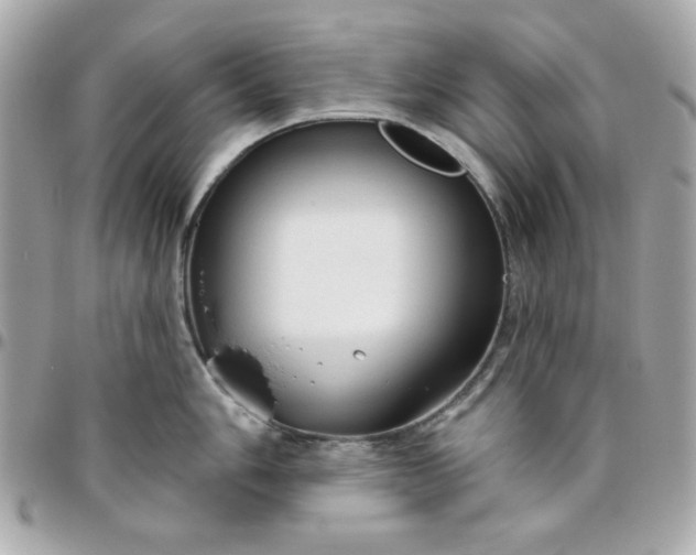 X0000096471006200802071852