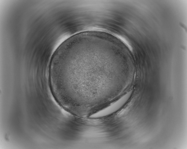 X0000096471007200802071852