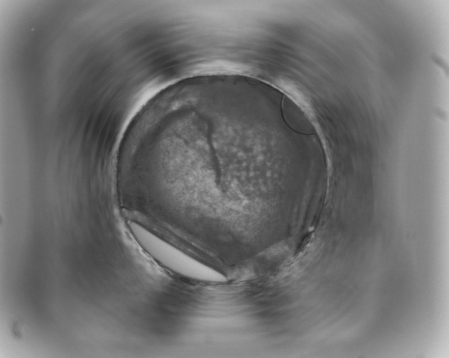 X0000096471008200802071852