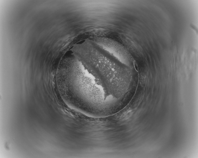 X0000096471010200802071852