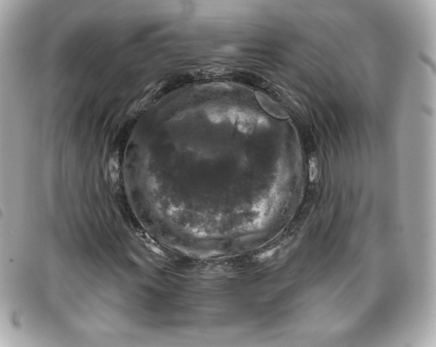 X0000096471011200802071852