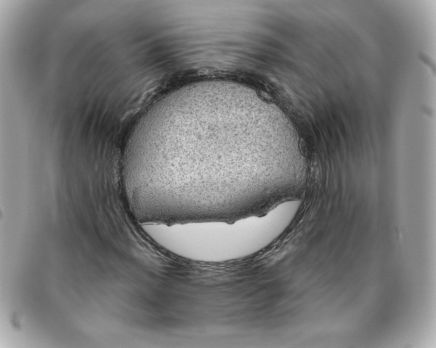 X0000096471012200802071852