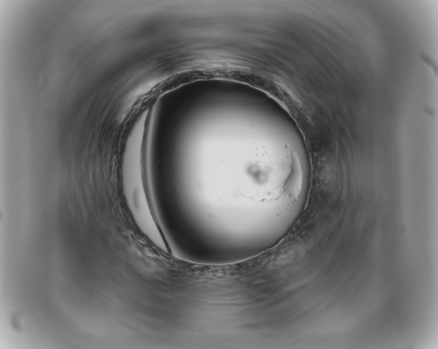 X0000096471016200802071852