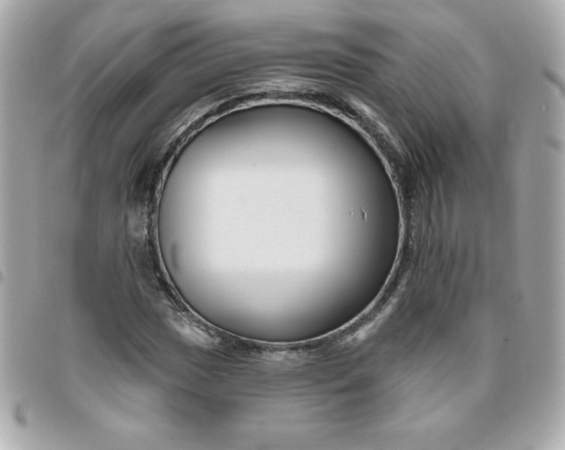 X0000096471017200802071852