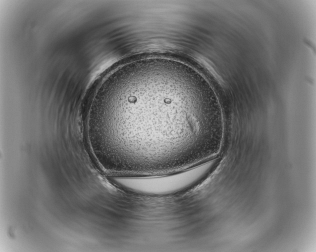 X0000096471018200802071852