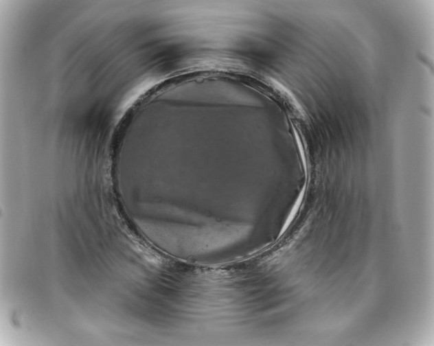 X0000096471019200802071852