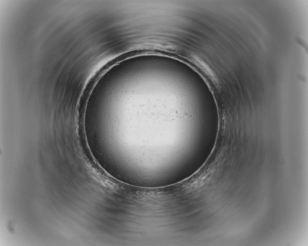 X0000096471020200802071852