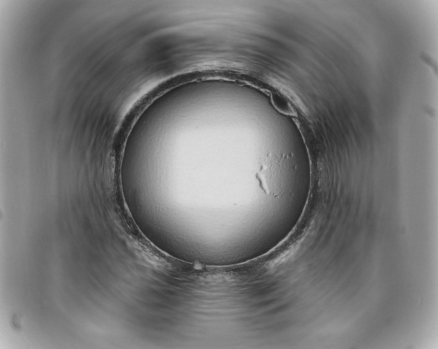 X0000096471021200802071852