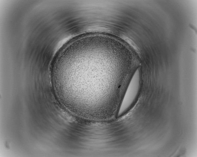 X0000096471022200802071852