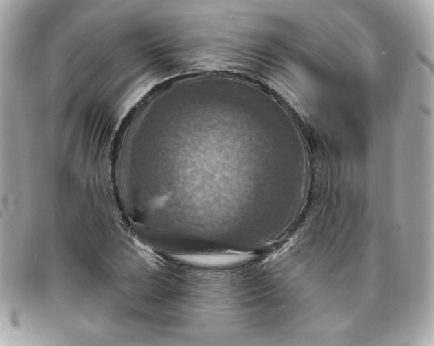 X0000096471023200802071852