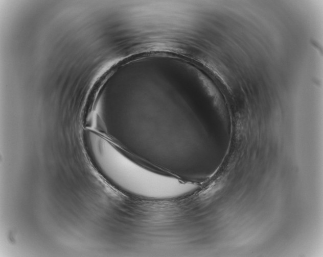 X0000096471024200802071852