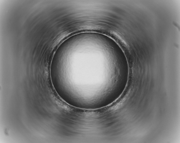 X0000096471025200802071852