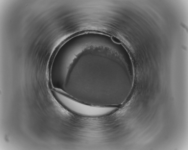 X0000096471028200802071852