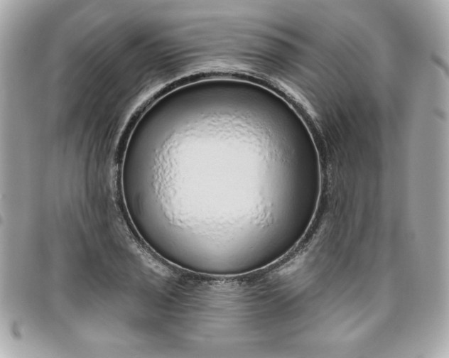 X0000096471029200802071852