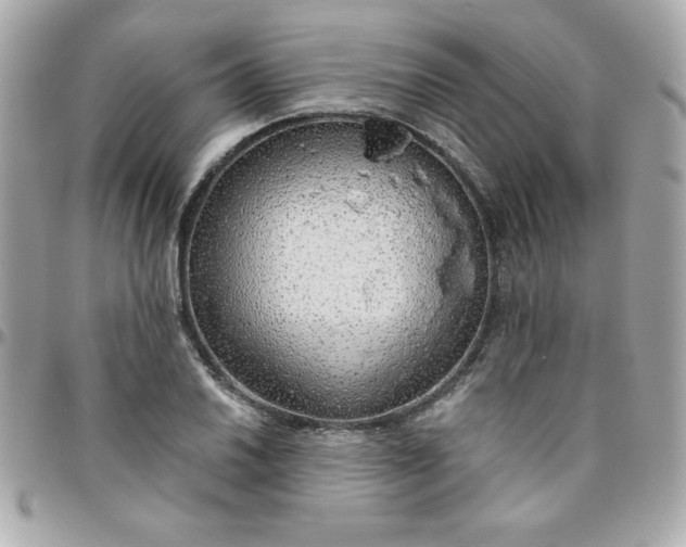 X0000096471030200802071852