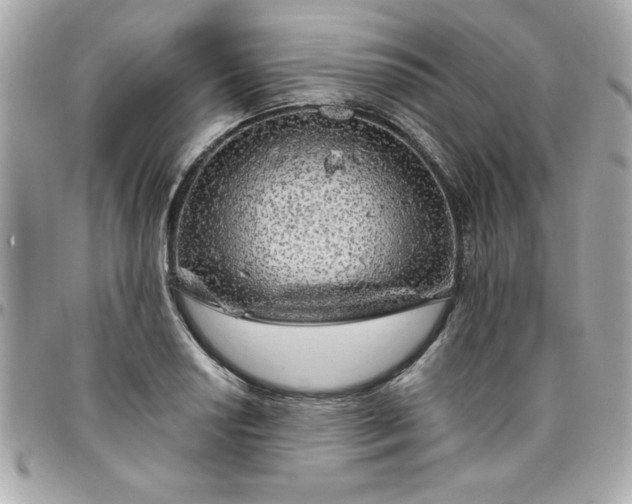 X0000096471034200802071852