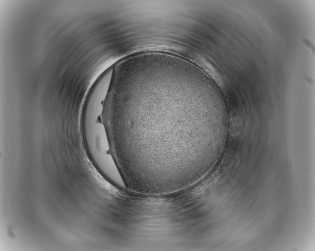 X0000096471036200802071852