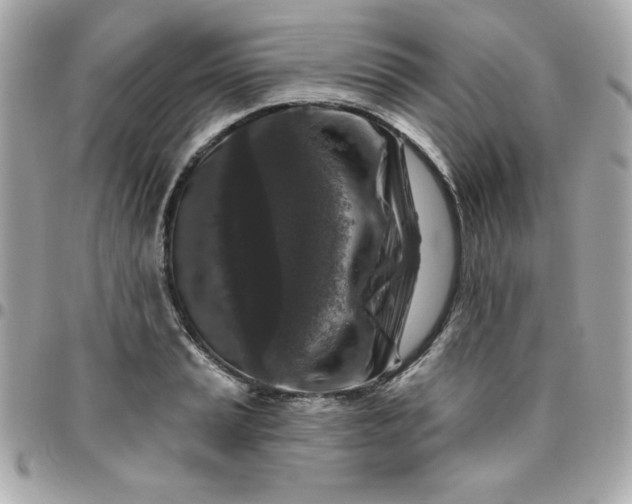 X0000096471037200802071852