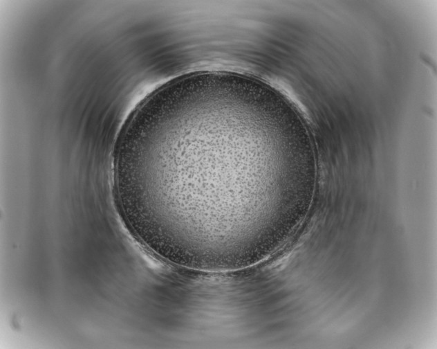 X0000096471040200802071852