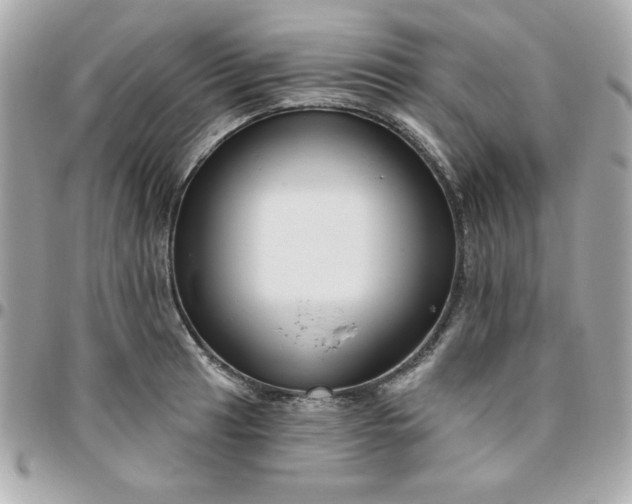 X0000096471041200802071852