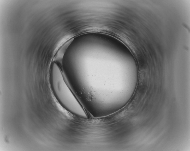 X0000096471042200802071852