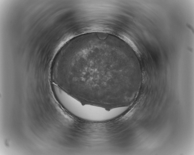 X0000096471043200802071852