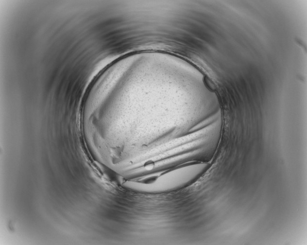 X0000096471044200802071852