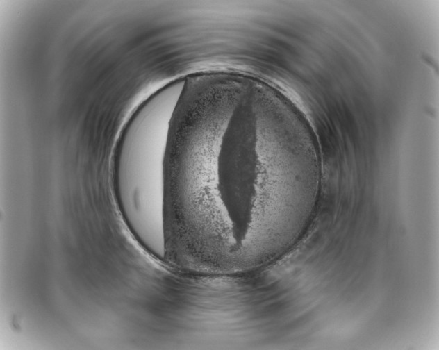 X0000096471045200802071852