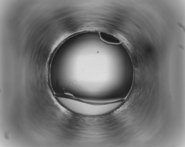 X0000096471046200802071852