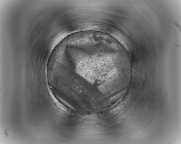 X0000096471047200802071852