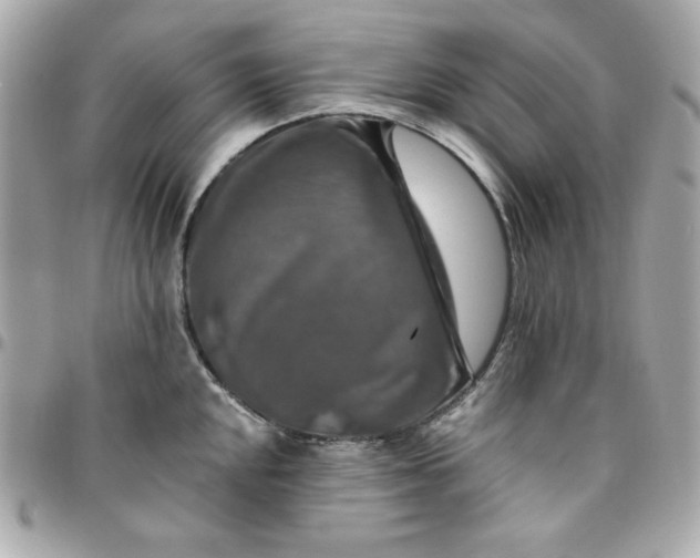 X0000096471048200802071852