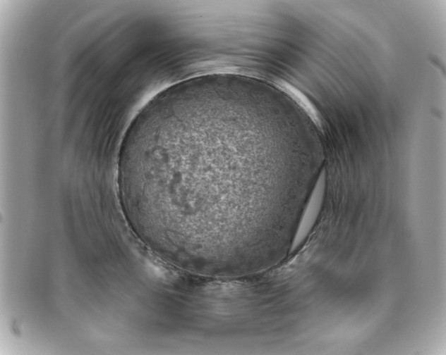 X0000096471051200802071852