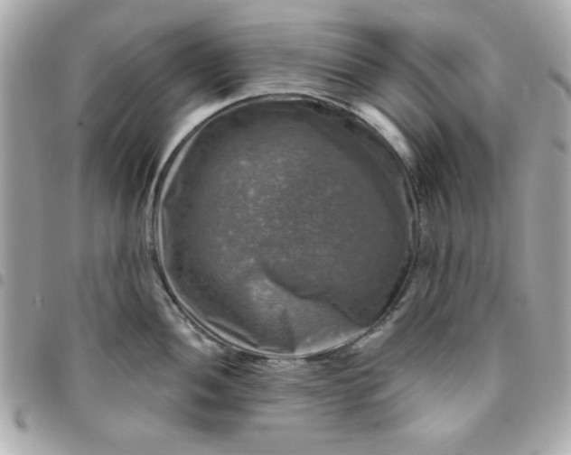 X0000096471052200802071852