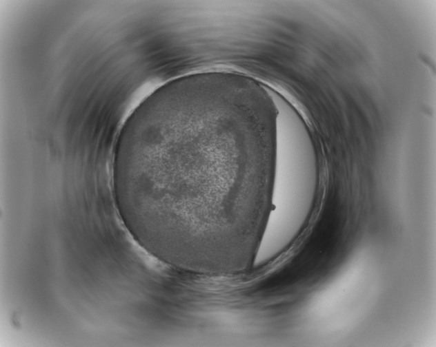 X0000096471054200802071852