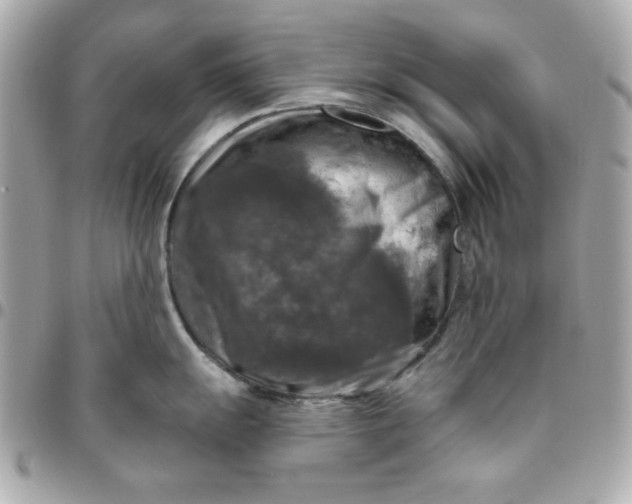 X0000096471055200802071852